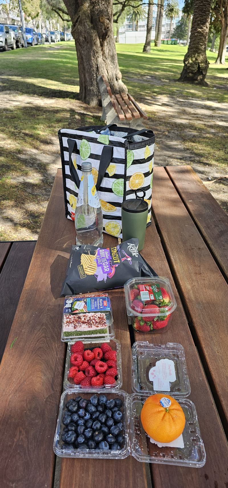 Six stops down Malop Street — A picnic laid out on a foreshore table under the palms: punnets of strawberries,