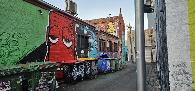 Six stops down Malop Street — A Geelong service laneway, wheelie bins in a row against walls painted with larg