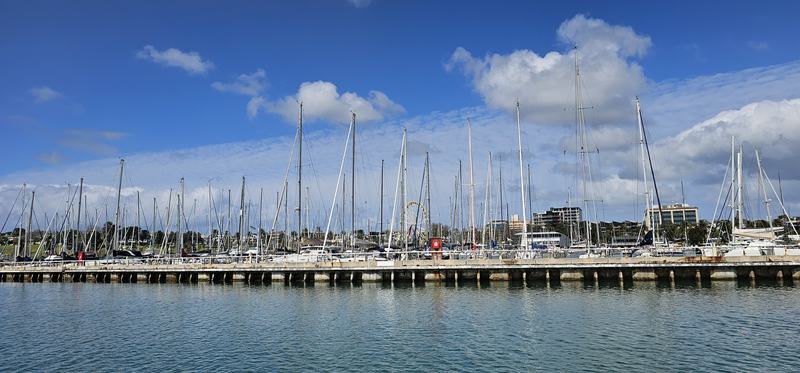 Six stops down Malop Street — Geelong marina — rows of yacht masts along the waterfront with the Giant Sky Whe