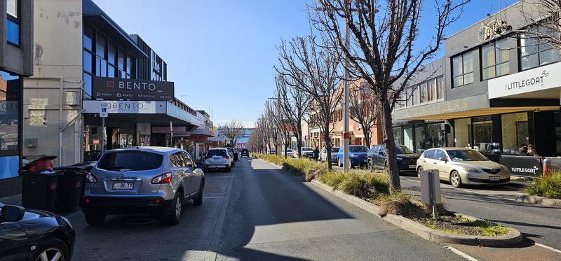 Four hours at the gathering place — Rooke Street, Devonport, on a cold bright Tuesday morning — bare trees down the