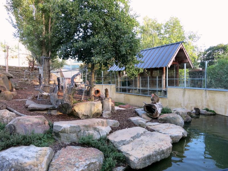 A gorge at the end of the street β The macaque enclosure at City Park