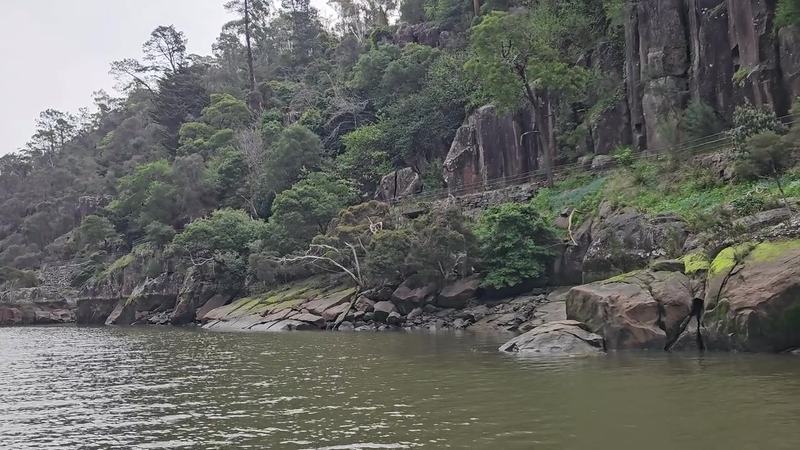 Up the Tamar — Cliffs and bush going past the boat in the gorge, a railed path running along th (poster)