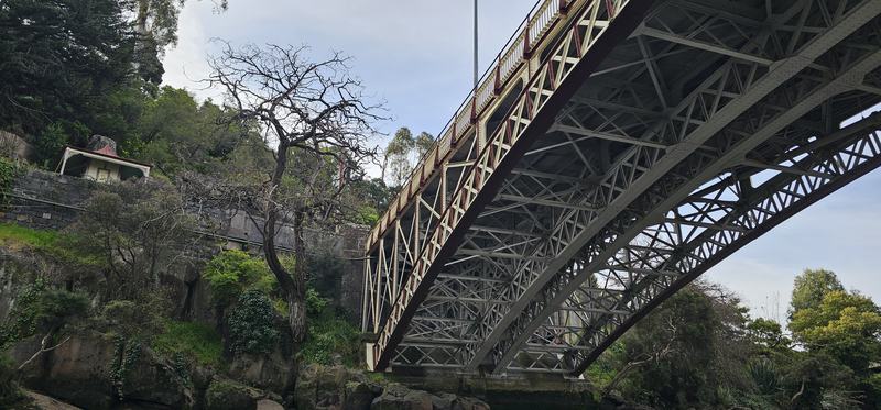 Up the Tamar — Kings Bridge from directly underneath: the iron lattice of the arch, a bare tree