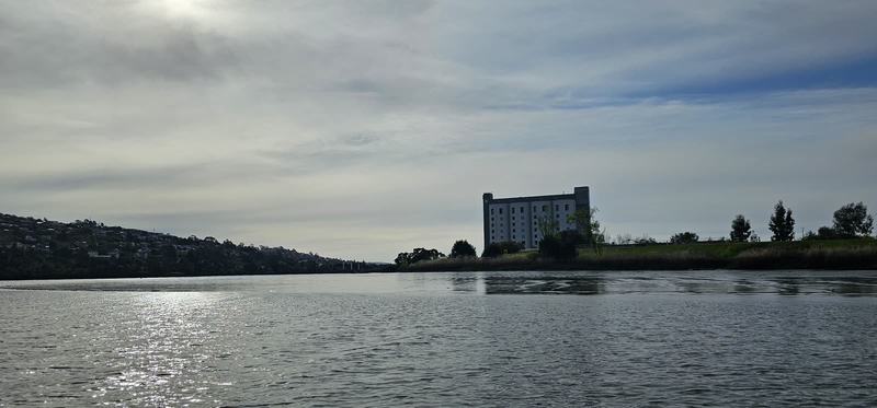 Up the Tamar — The Tamar in the afternoon from the water: rippled river catching the light, woo
