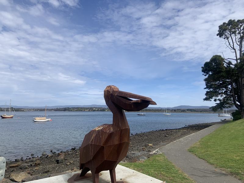 Up the Tamar — A faceted brown pelican sculpture on the George Town waterfront, yachts moored o