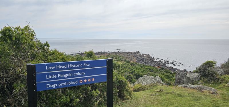 Up the Tamar — A blue sign reading Low Head Historic Site, Little Penguin colony, Dogs prohibit