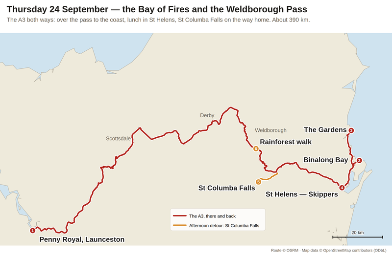 Tin, tree ferns and the Chinese of Weldborough — Route: Launceston on the A3 over the Weldborough Pass to Binalong Bay and St Hel