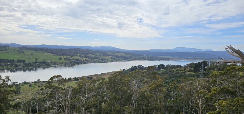 Up the Tamar — A broad bend of the Tamar seen from above, green farmland and hills beyond, a py