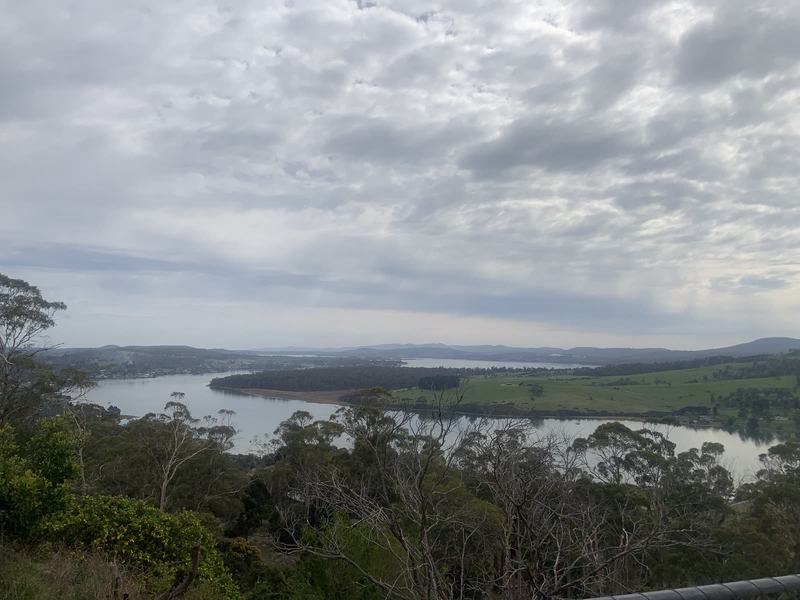 Up the Tamar — The Tamar from a clifftop lookout on an overcast morning: a wide bend of grey ri