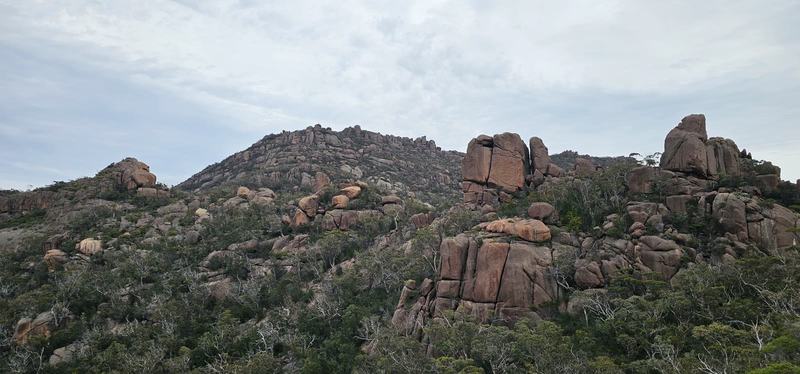 Why it's called Wineglass Bay — Pink granite tors and boulders on the slopes of the Hazards, scrub between them,