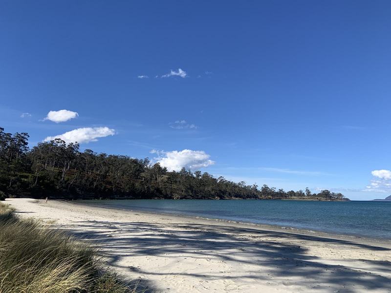 Why it's called Wineglass Bay — Raspins Beach: white sand, dune grass and a line of trees under a bright blue sk