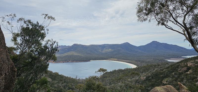 Why it's called Wineglass Bay — Wineglass Bay from the lookout: a white crescent of sand below forested mountain