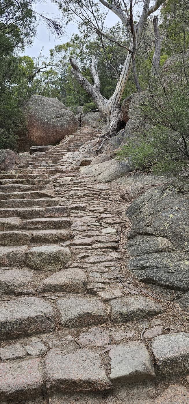 Why it's called Wineglass Bay — Granite steps climbing between boulders and gum trees on the Wineglass Bay Looko