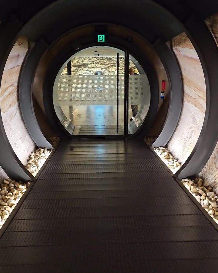 Cut into the cliff β A round glass door at the end of the steel-ringed tunnel, lit stones along its s (poster)