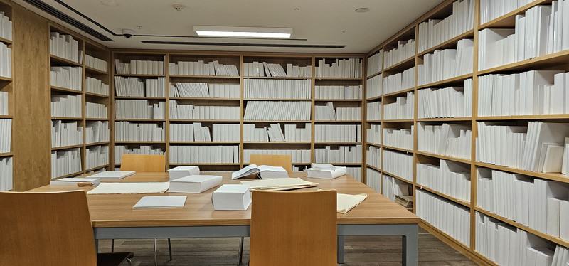 Cut into the cliff β A room of wooden shelves filled with blank white books, blank books open on the