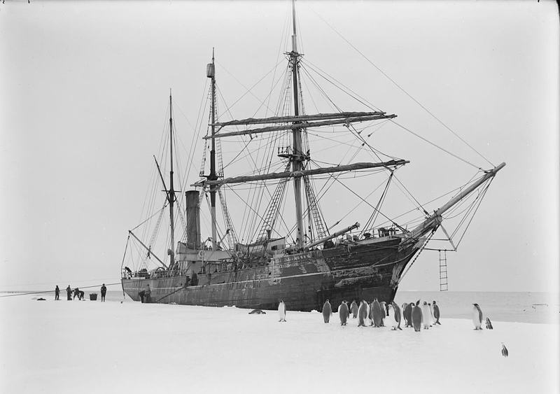 The city that faces south — The Aurora moored to sea ice off Antarctica, emperor penguins on the ice in fron