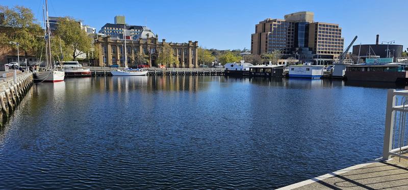 The city that faces south — Constitution Dock on a still, sunny morning: moored yachts, the floating fish pu