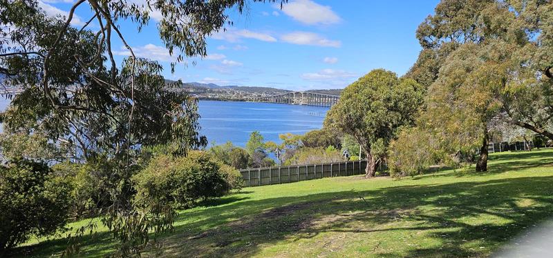 The city that faces south — The Tasman Bridge across the Derwent, seen through gum trees from a grassy slope
