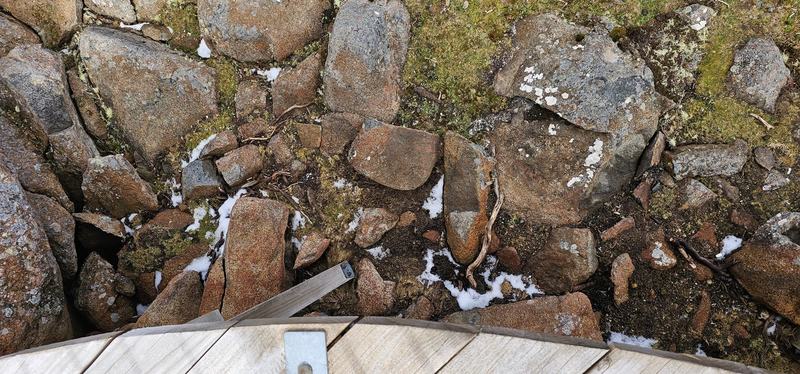 A mountain with four names — Looking down from the boardwalk at dolerite boulders, moss and small patches of