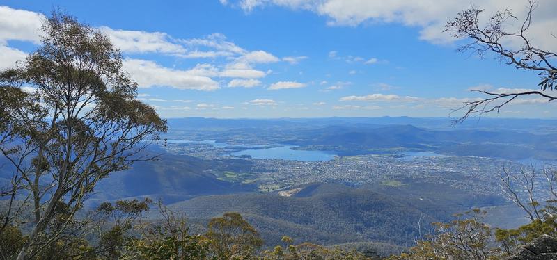 A mountain with four names — Hobart and the Derwent seen from high on the mountain, framed by gum trees, unde