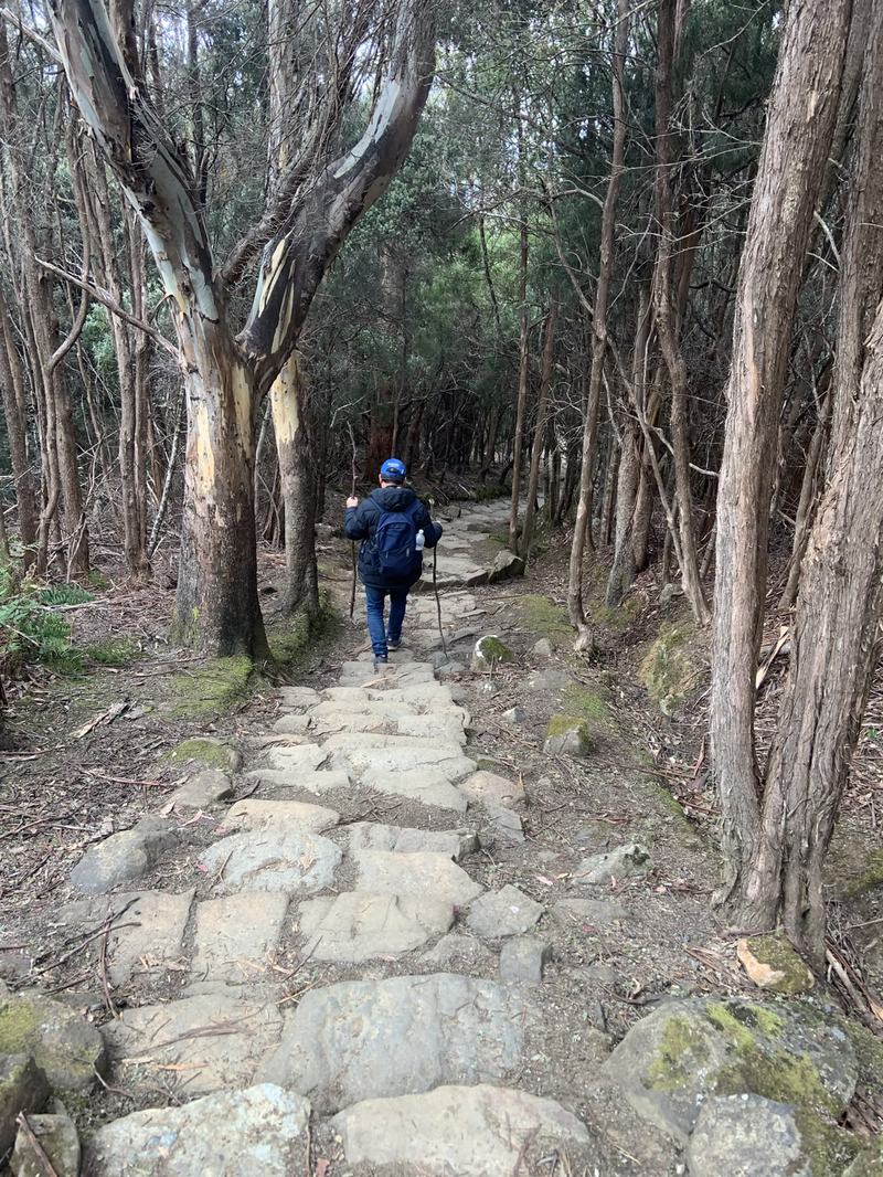 A mountain with four names — A walker with poles and a blue beanie going down a rough stone-paved track betwe