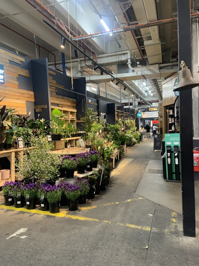 What the gold paid for — A plant stall in a market aisle, pots of purple lavender in front, a brass bell
