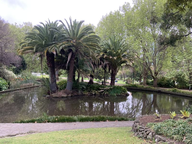 What the gold paid for — A pond with a small island of tall palms, trees behind and a paved path in front